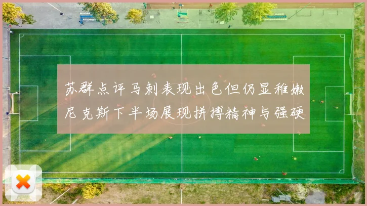 苏群点评马刺表现出色但仍显稚嫩尼克斯下半场展现拼搏精神与强硬防守
